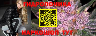 jwh Гатчина