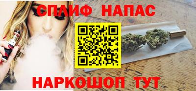 мдпв Гай