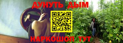 apvp Гагарин