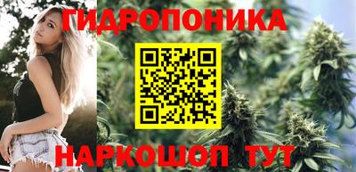 мдпв Гай