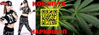 мдпв Гай