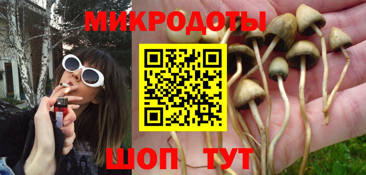 Галлюциногенные грибы мухоморы  купить наркотик  Мичуринск  Вход с VPN 